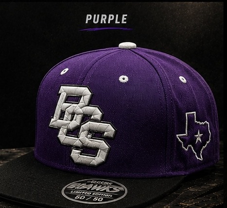 BCS Cap — Purple